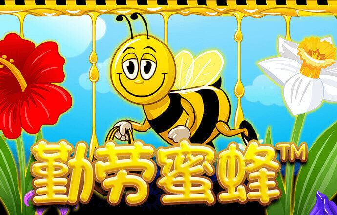 博尊官方网站下载