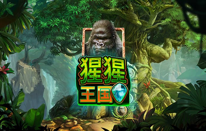ror体育官方下载